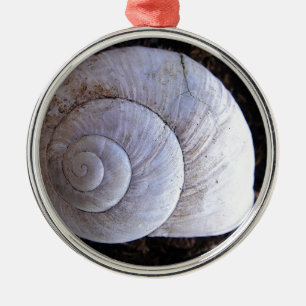 Cool snailshell metal ornament