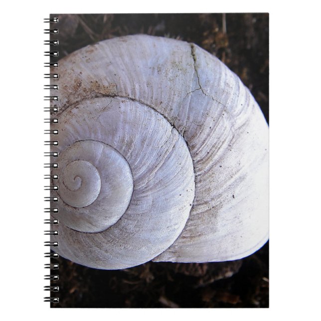 Cool snailshell notebook (Front)