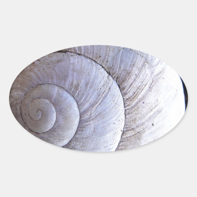 Cool snailshell oval sticker (Front)