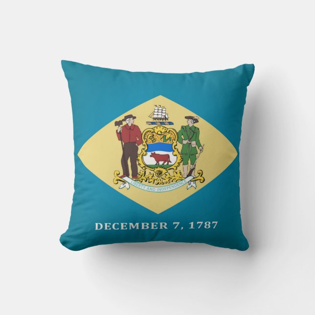 Cool State Of Delaware Flag Throw Pillow (Front)