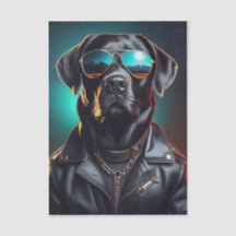 Cool Terrence, Black Lab in Leather Jacket Tissue
