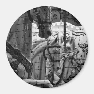 Cool, urban, modern photo of horses of carousel magnet