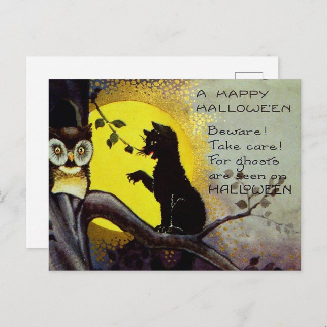 cool vintage Halloween black cat owl Holiday Postcard (Front/Back)