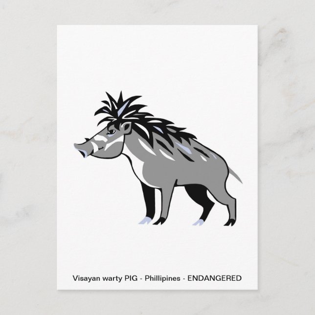 Cool Visayan Warty PIG - Conservation - Warthog Postcard (Front)