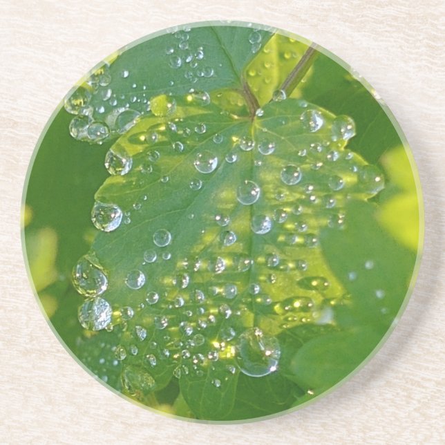 Cool Waterdrops On Green Leaf Coaster (Front)