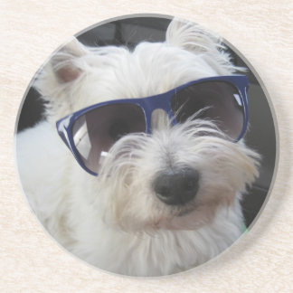 Cool Westie Coaster