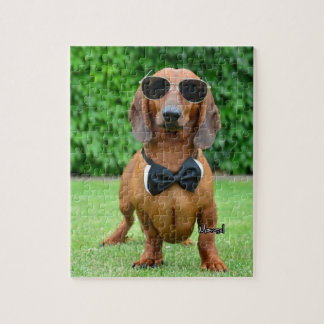 Cool with Sunglass Dachshund dog 110 puzzle