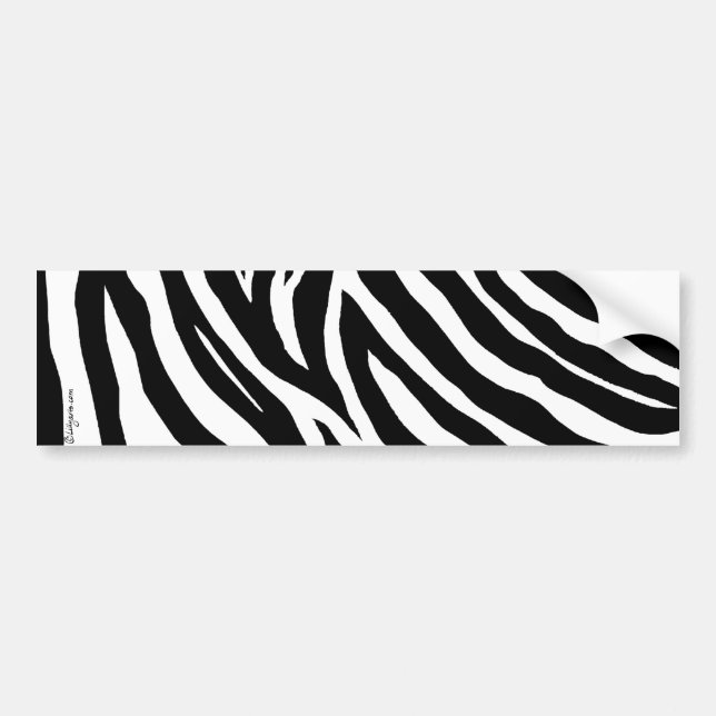 Cool Zebra Stripes Bumper Sticker (Front)