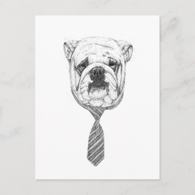 cooldog postcard (Front)