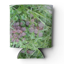 Cooler /Seltzer /Bottle / Can / ZAZZLE MMETROPOLIM