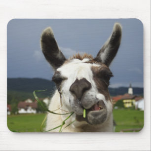 Coolest Llama Mouse Pad