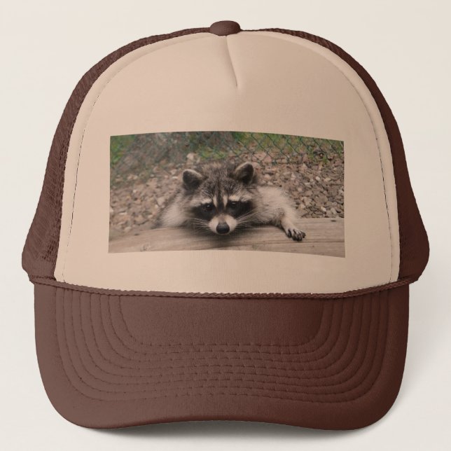 Coon Hat, Racoon Ball Cap (Front)