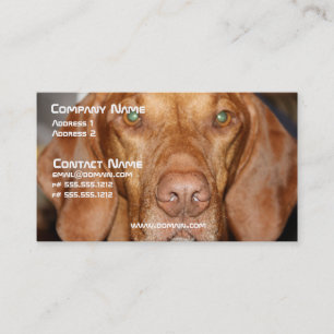 Coon Hound Business Card