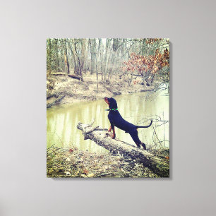 Coon hound sur la toile de rivière