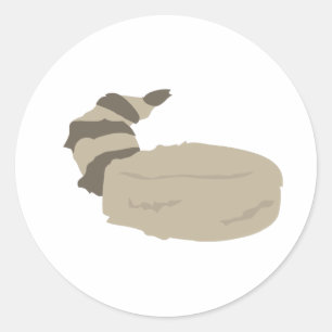Coon Skin Cap Classic Round Sticker
