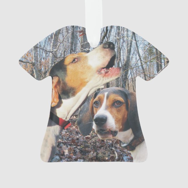 Coonhound de marcheur de Treeing (dos)