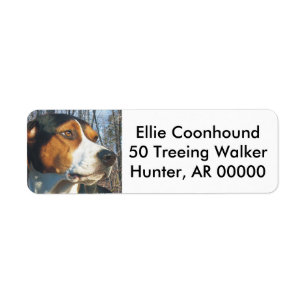 Coonhound de marcheur de Treeing