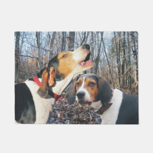 Coonhound de marcheur de Treeing dans le tapis de