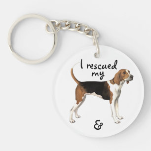 Coonhound de marcheur de Treeing de délivrance