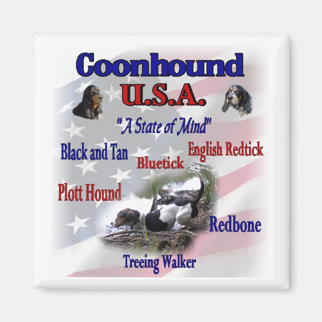 Coonhound Varieties Gifts Magnet (Front)