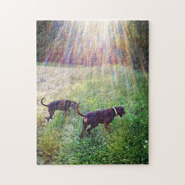 Coonhounds In The Evening Sunlight Jigsaw Puzzle (Vertical)