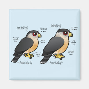 Coop v Sharpie Magnet