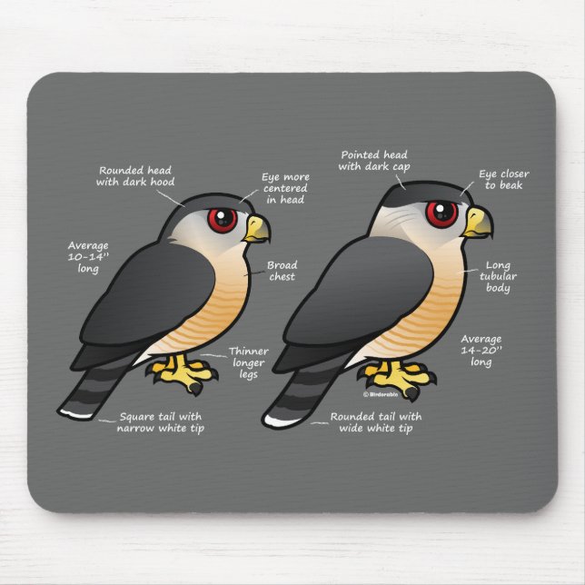 Coop v Sharpie Mouse Pad (Front)