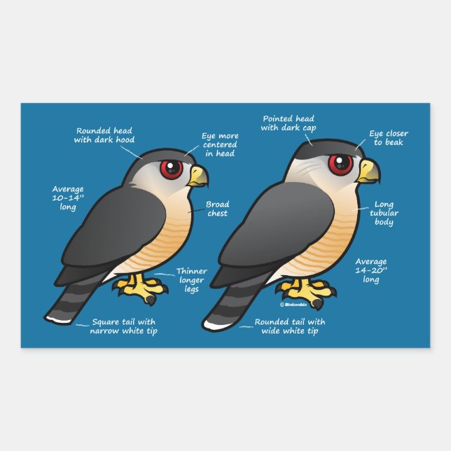 Coop v Sharpie Sticker (Front)