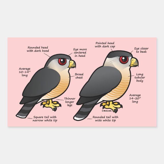 Coop v Sharpie Sticker (Front)