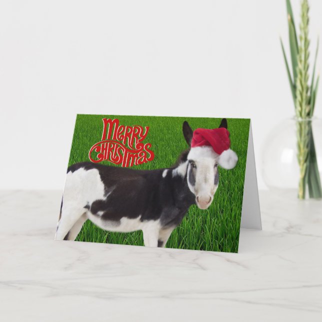 Cooper Donkey Christmas Card (Front)