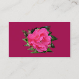 cooperation business card,pink rose card