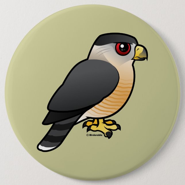Cooper's Hawk 6 Inch Round Button (Front)