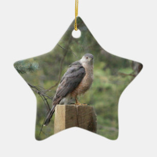 Cooper's Hawk Ceramic Ornament