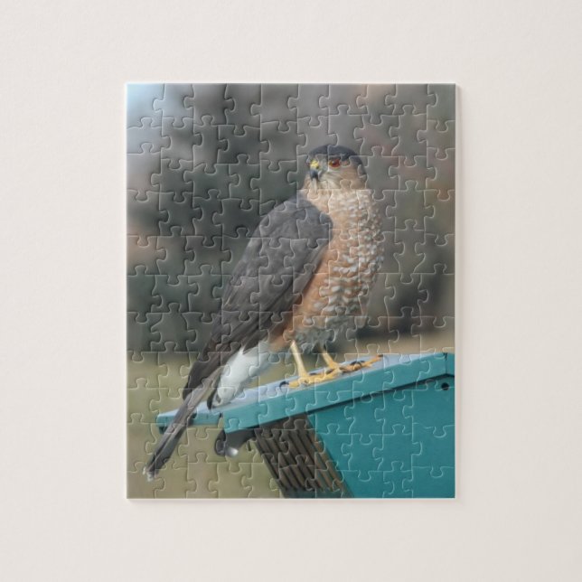 Coopers Hawk Jigsaw Puzzle (Vertical)