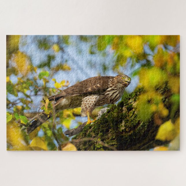 Cooper's Hawk Jigsaw Puzzle (Horizontal)
