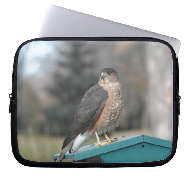 Coopers Hawk Laptop Sleeve (Front)