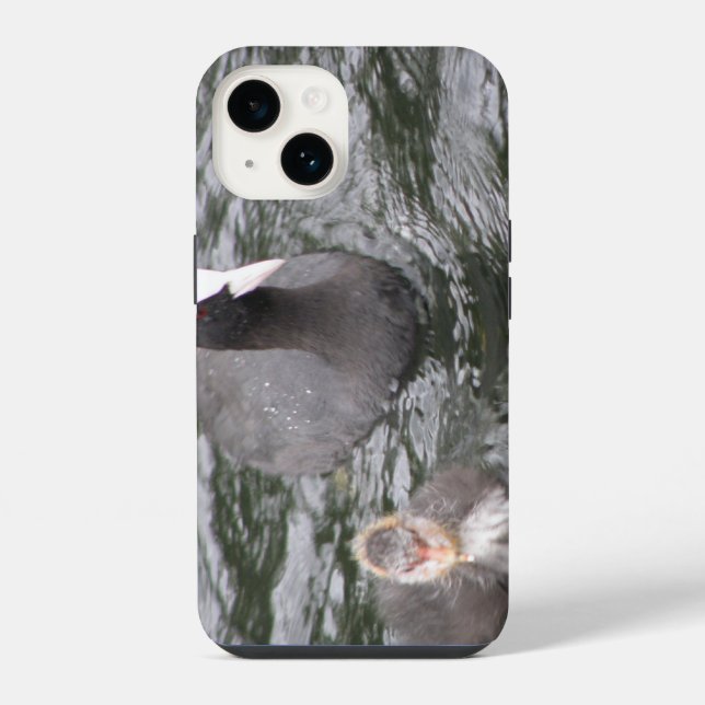 Coot and Chick iPhone Case (Back)