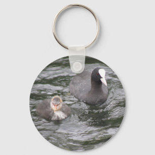 Coot and Chick Keychain