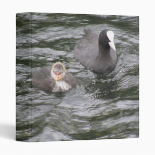 Coot and Chick Photograph Album Binder