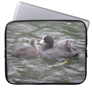 Coot Feeding Hungry Chick Laptop Sleeve