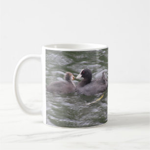 Coot Feeding Hungry Chick Mug
