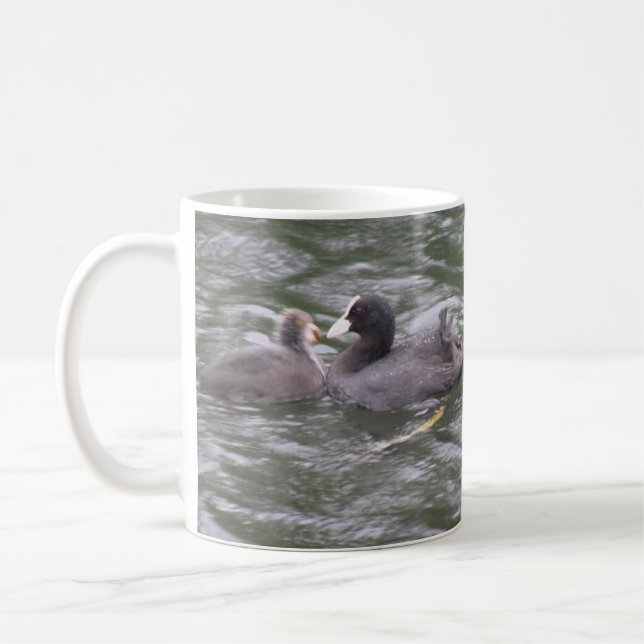 Coot Feeding Hungry Chick Mug (Left)