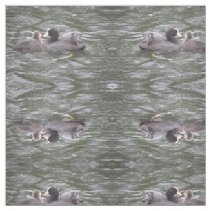 Coot Feeding Hungry Chick Patterned Animal Fabric