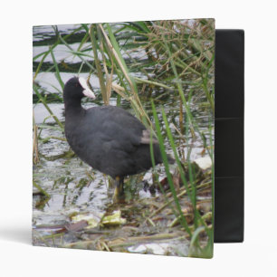 Coot on the Riverbank Photograph Album Binder