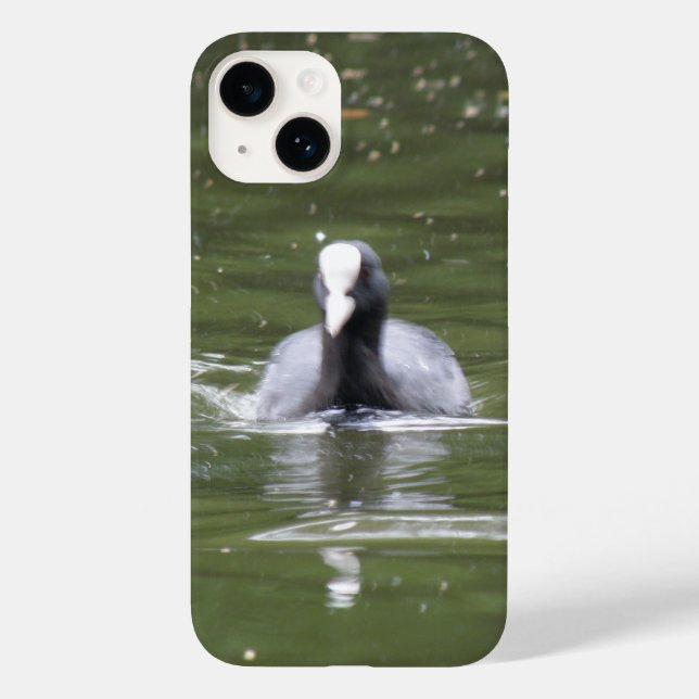Coot Swimming Case-Mate iPhone Case (Back)