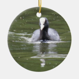 Coot Swimming Custom Birthday Ceramic Ornament