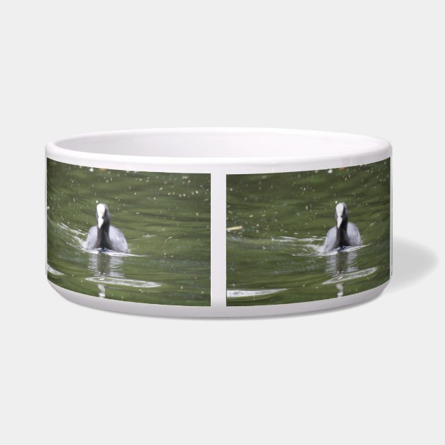 Coot Swimming Dog Bowl (Back)