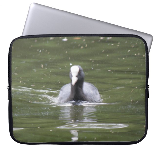 Coot Swimming Laptop Bag (Front)