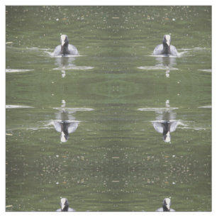 Coot Swimming Patterned Animal Fabric
