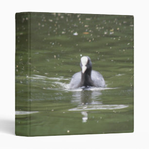 Coot Swimming Photograph Album Binder
